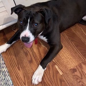 Meet your Posher, Quentin